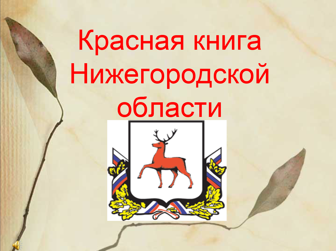 Проект красная книга Нижегородской области