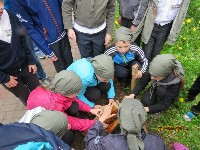 �����������