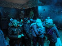 �����������